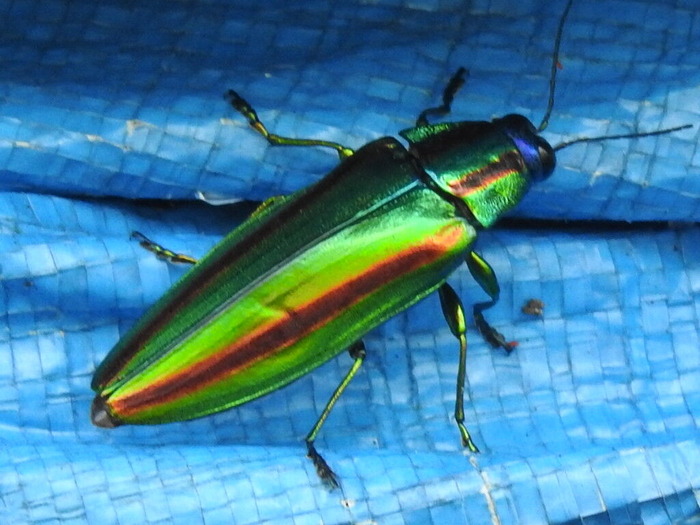 RSCN7943