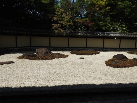 DSCN5002