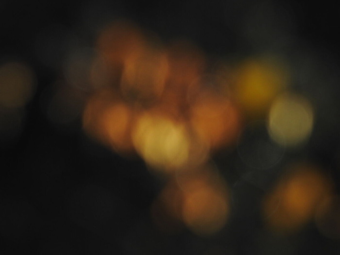 DSCN9778