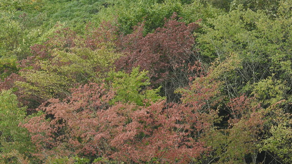 DSCN2758