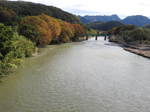 DSCN7707