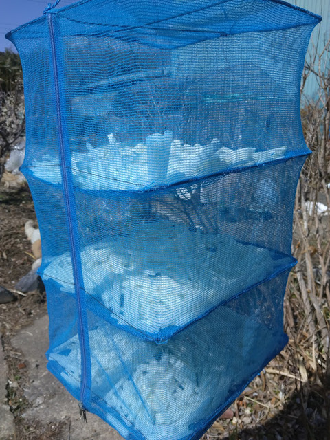 DSC_2119