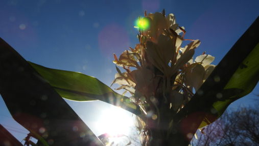 イメージ 4