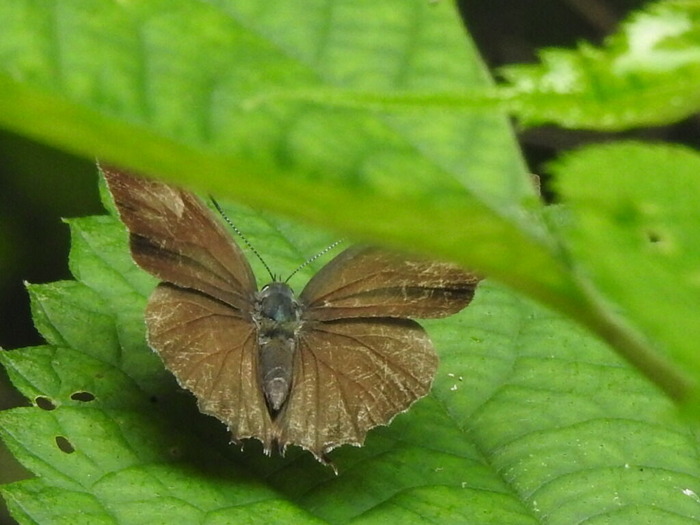RSCN6284