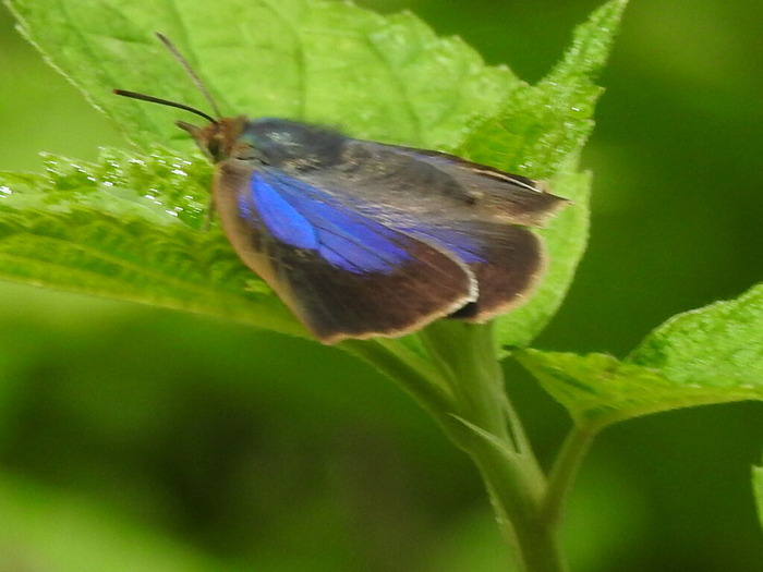 RSCN5824