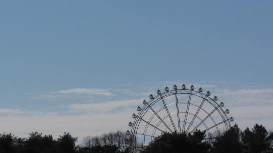 イメージ 10
