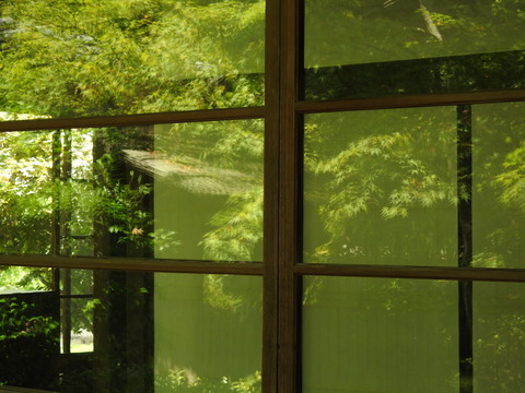 DSCN5001