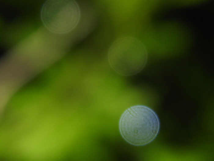 DSCN4127