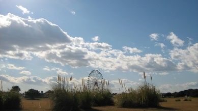 イメージ 10
