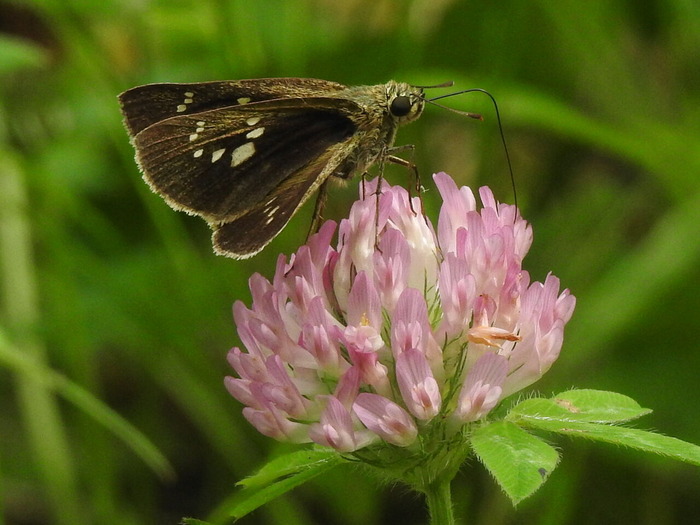 RSCN6196