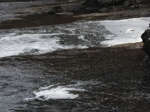 DSCN5053