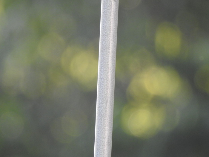 DSCN5643