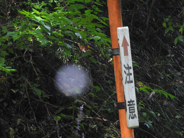 DSCN8018