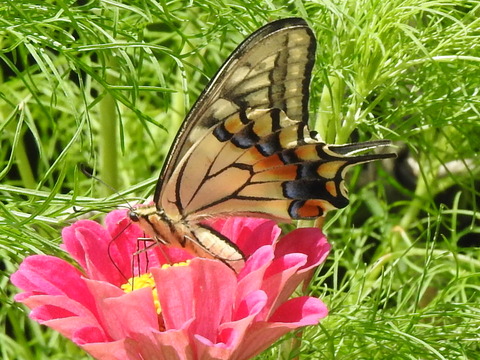 RSCN4692