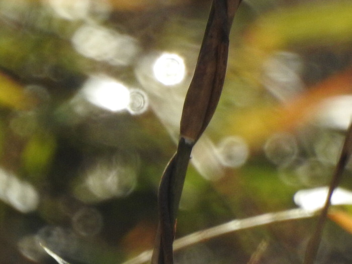 DSCN2902