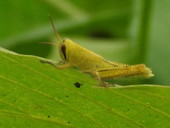 RSCN7807