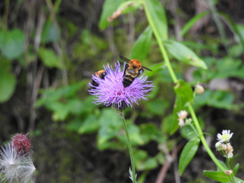 DSCN0581