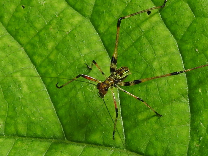RSCN6673