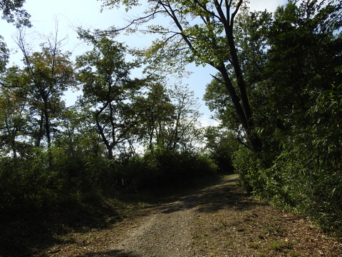 DSCN1687