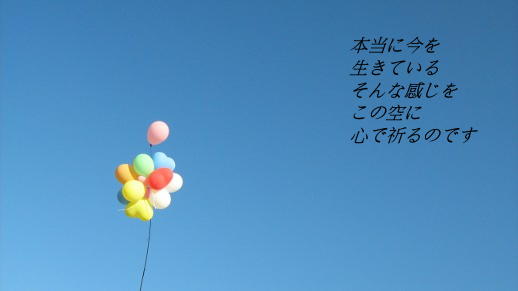イメージ 7
