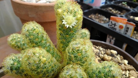 KIMG0455