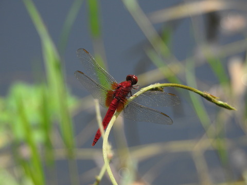 DSCN0511