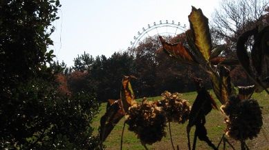 イメージ 8