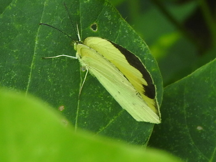 RSCN7156