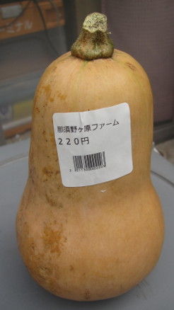 イメージ 6