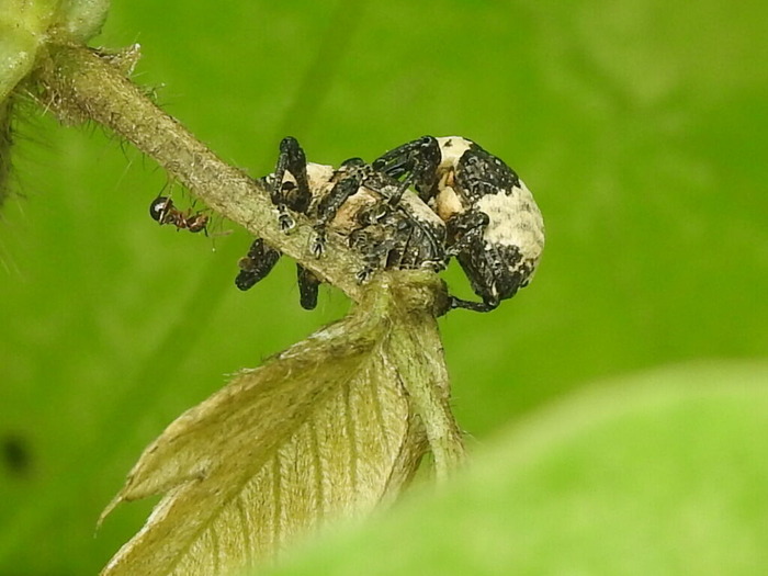 RSCN8169