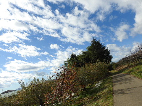 DSCN2830