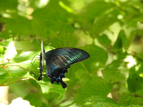 DSCN5178