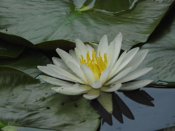 DSCN7674