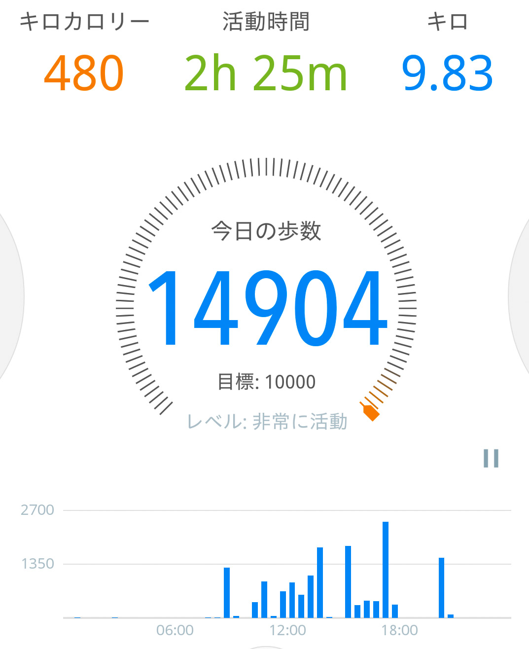 歩き 過ぎ て 足 が 痛い