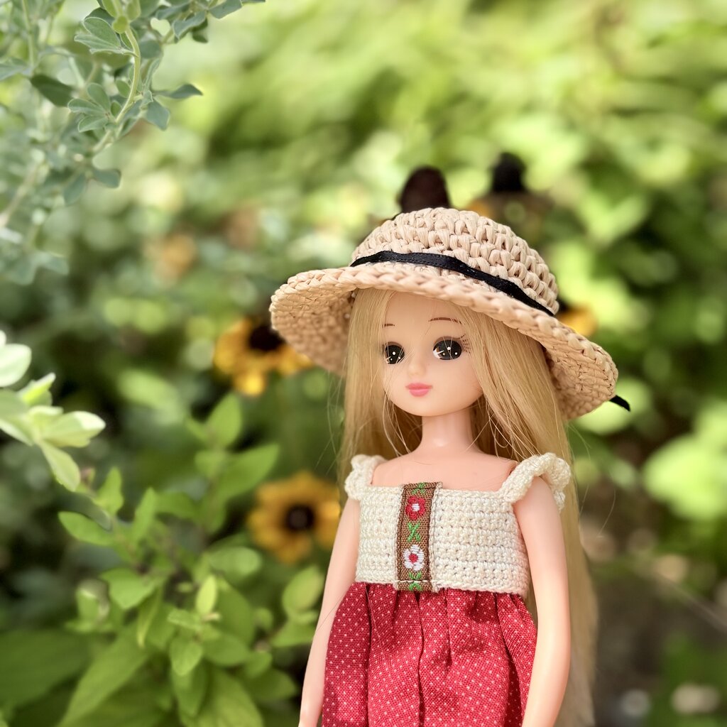 作家様♡ブライスアウトフィットセット　ドットワンピース　ウサ耳帽　リカちゃん Amazon.co.jp: タカラトミー リカちゃん ドレス LW-04 うさぎのお茶会