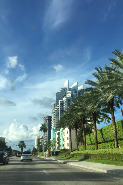 florida_2015_8_10_noriyoshi_morimura_ (86)