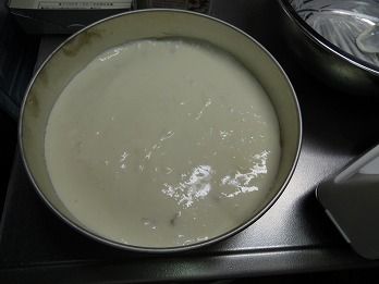 s-DSCN4991