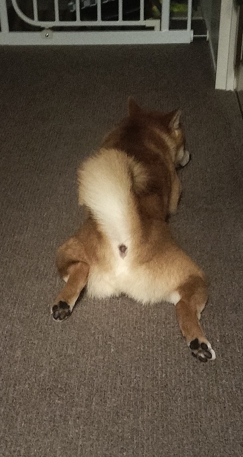 ���㤹������