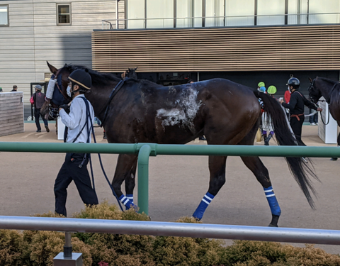 Screenshot_20211212-141130