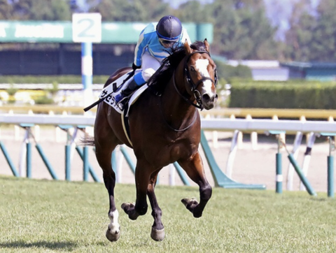 Screenshot_20211211-083201