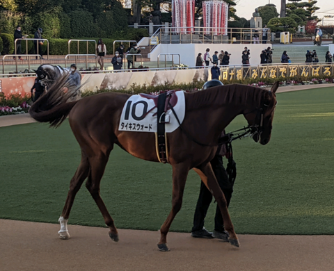 Screenshot_20211212-153359