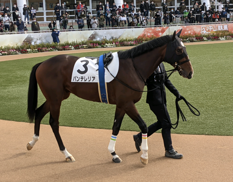 Screenshot_20211212-114108