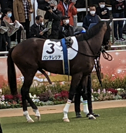 Screenshot_20211212-163726