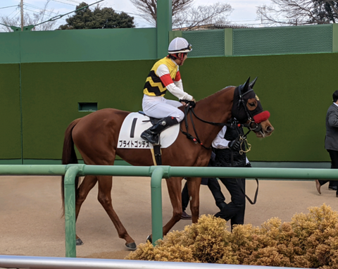 Screenshot_20211212-120231