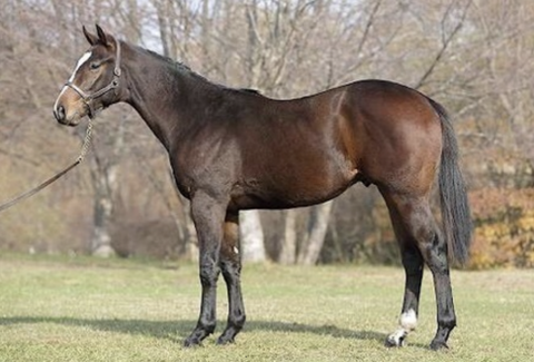 Screenshot_20211211-084010