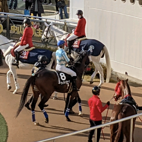 Screenshot_20211212-134928