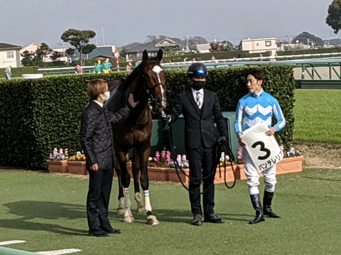 Screenshot_20211212-121513