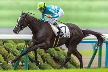 2歳世代2頭目の新馬勝ち！ : Feel NOC !!