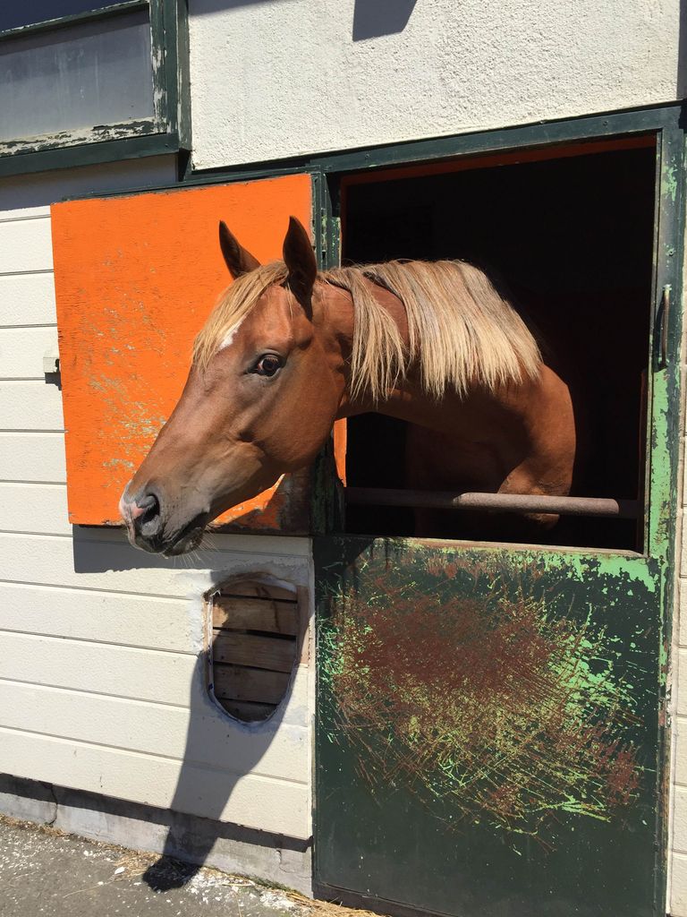 オカダスタッドにて Feel Noc オカダスタッドにて Feel Noc