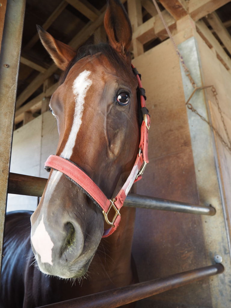 小野町便り Feel Noc